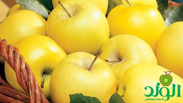 صادر کنندگان سیب زرد درجه 1