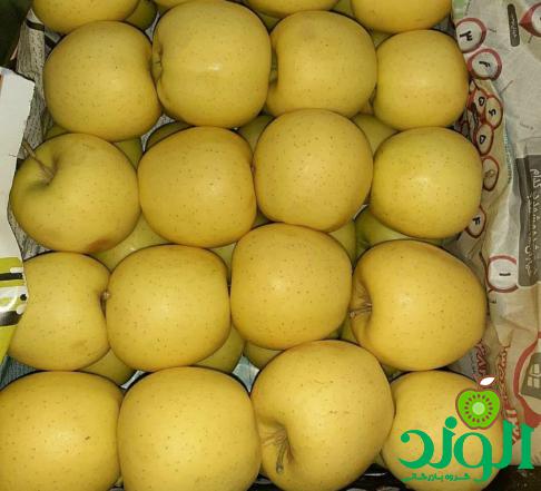 فروش فوق العاده سیب گلاب زرد