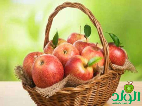 قیمت فروش سیب درختی گلخانه ای