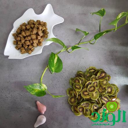 طرز تهیه کیوی خشک شده خانگی به روش های ساده روی بخاری یا شوفاژ