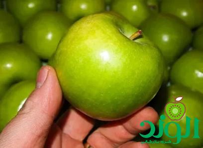 خرید و قیمت انواع سیب سبز ایرانی