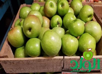 خرید جدیدترین انواع سیب سبز اصفهان
